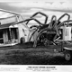 Illustration for article titled The Giant Spider Invasion